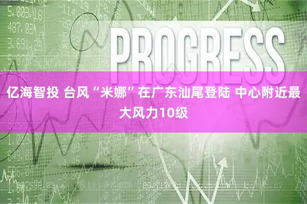亿海智投 台风“米娜”在广东汕尾登陆 中心附近最大风力10级