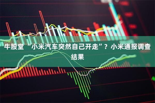 牛股堂 “小米汽车突然自己开走”？小米通报调查结果