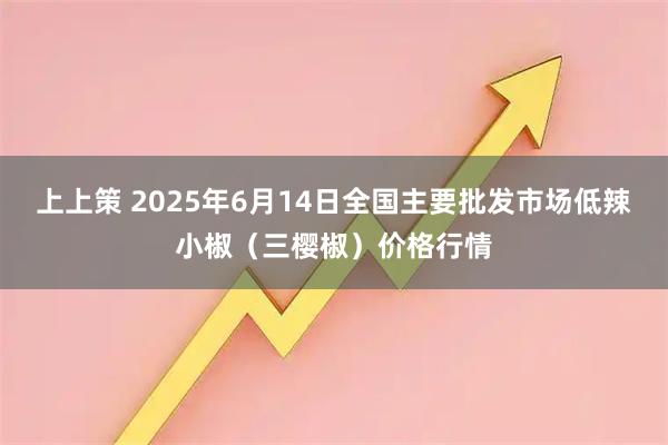 上上策 2025年6月14日全国主要批发市场低辣小椒（三樱椒）价格行情