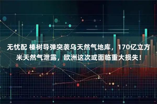 无忧配 榛树导弹突袭乌天然气地库，170亿立方米天然气泄露，欧洲这次或面临重大损失！