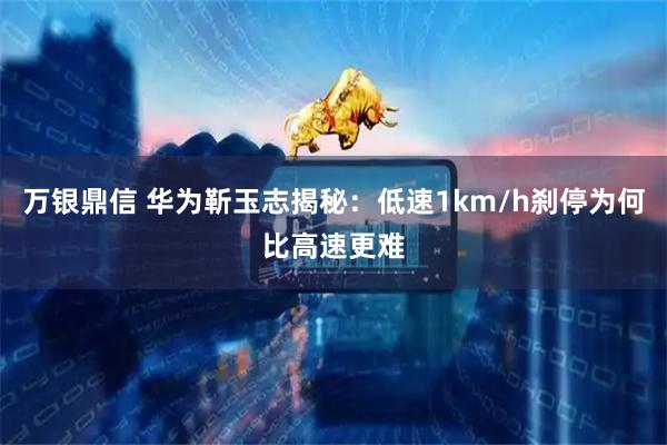万银鼎信 华为靳玉志揭秘：低速1km/h刹停为何比高速更难